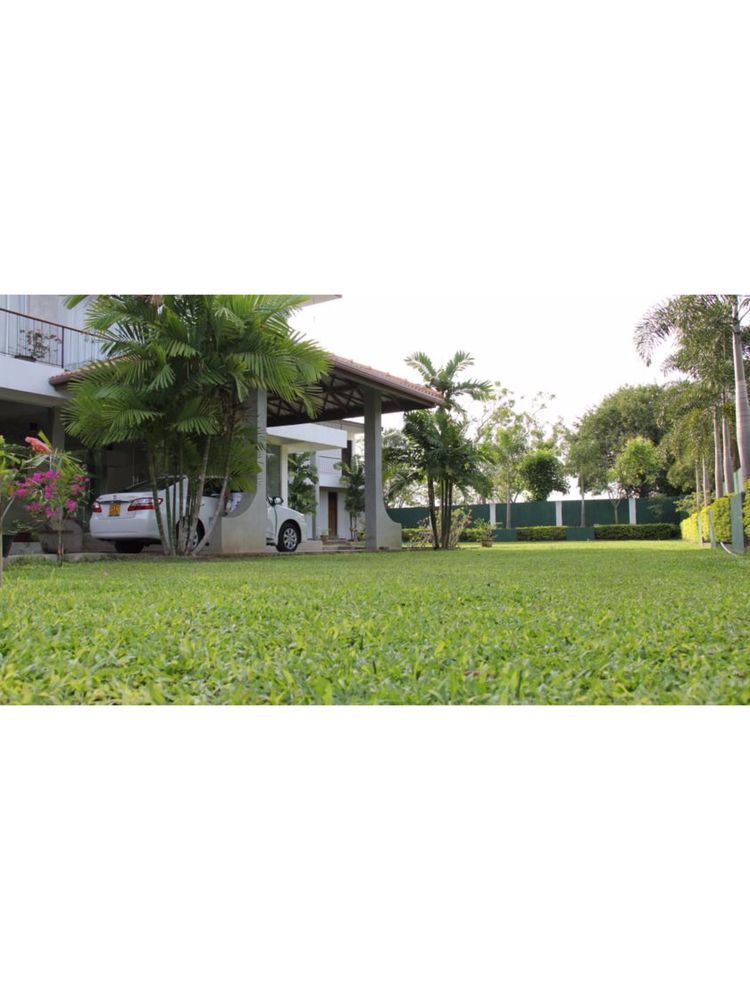 Lake Wind Hotel Tissamaharama Exterior foto